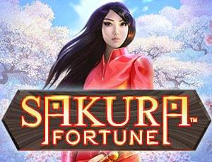 Sakura Fortune